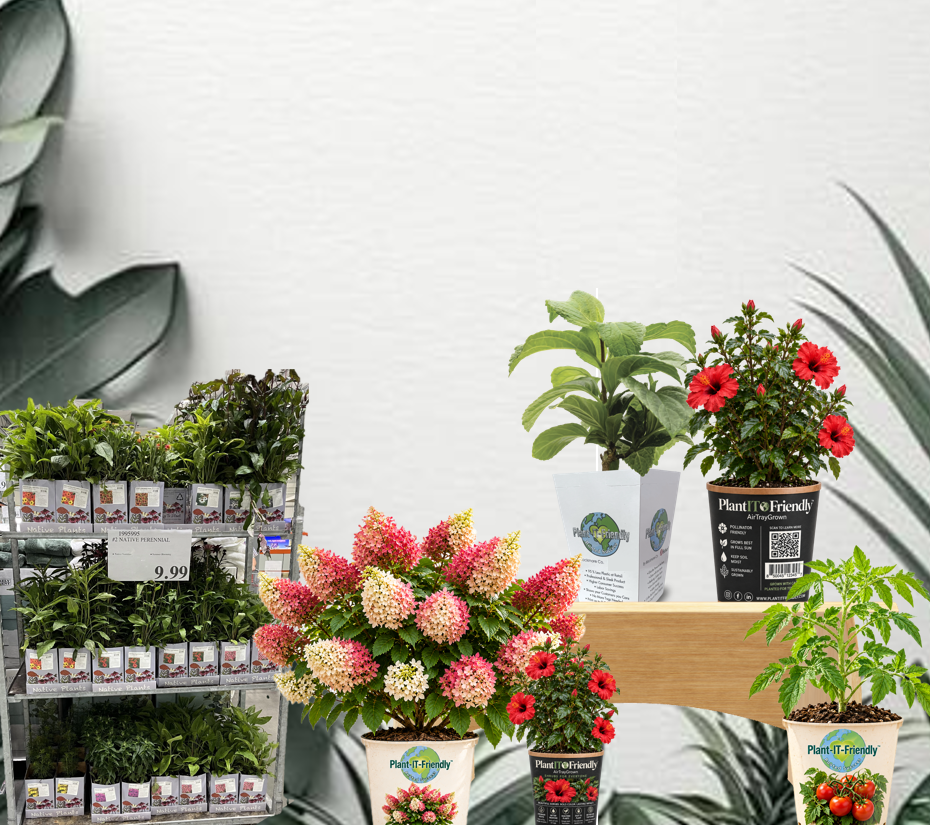 Retailers — PlantItFriendly